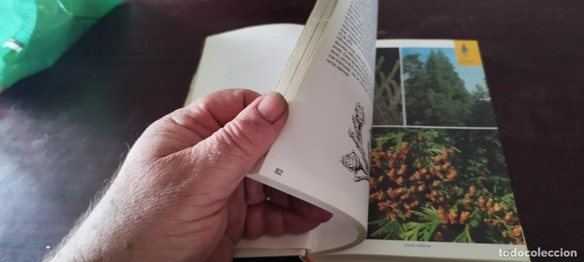 Libros de segunda mano: ARBOLES / BRUNO P. KREMER / KARA 44 / BLUME - Foto 12