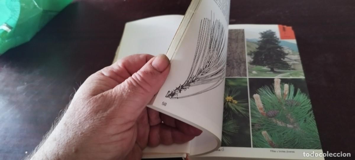 Libros de segunda mano: ARBOLES / BRUNO P. KREMER / KARA 44 / BLUME - Foto 13