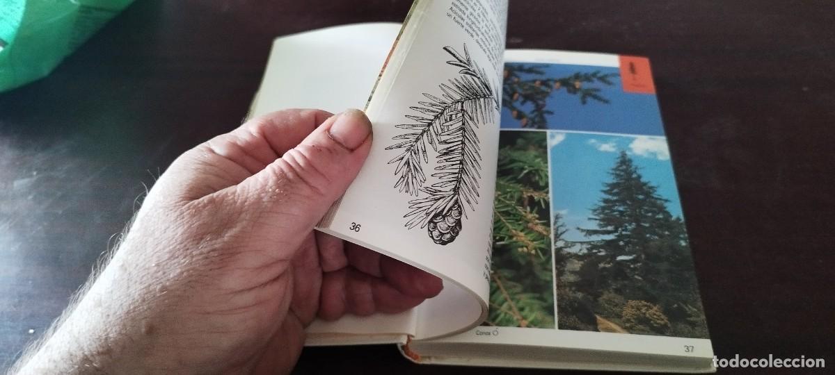 Libros de segunda mano: ARBOLES / BRUNO P. KREMER / KARA 44 / BLUME - Foto 14