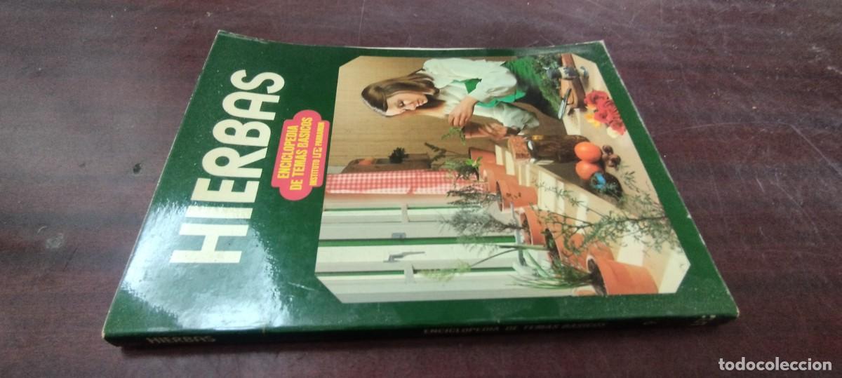 Libros de segunda mano: HIERBAS / ENCICLOPEDIA TEMAS BASICOS PARAMON / PU-NEVR-4 / - Foto 1