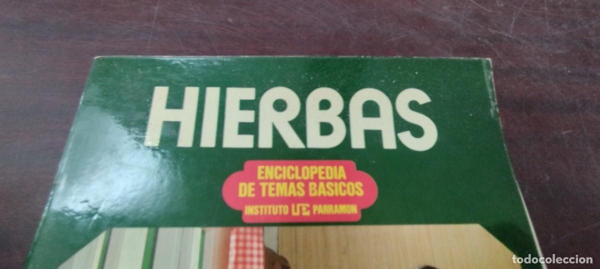 Libros de segunda mano: HIERBAS / ENCICLOPEDIA TEMAS BASICOS PARAMON / PU-NEVR-4 / - Foto 2