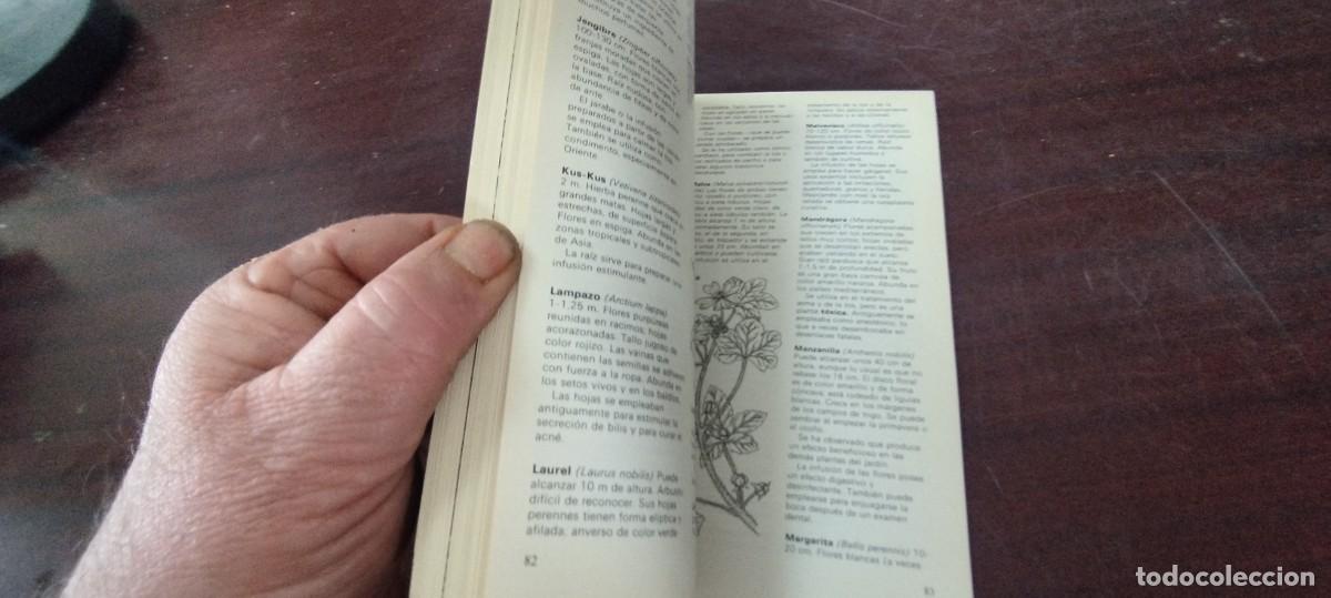Libros de segunda mano: HIERBAS / ENCICLOPEDIA TEMAS BASICOS PARAMON / PU-NEVR-4 / - Foto 4