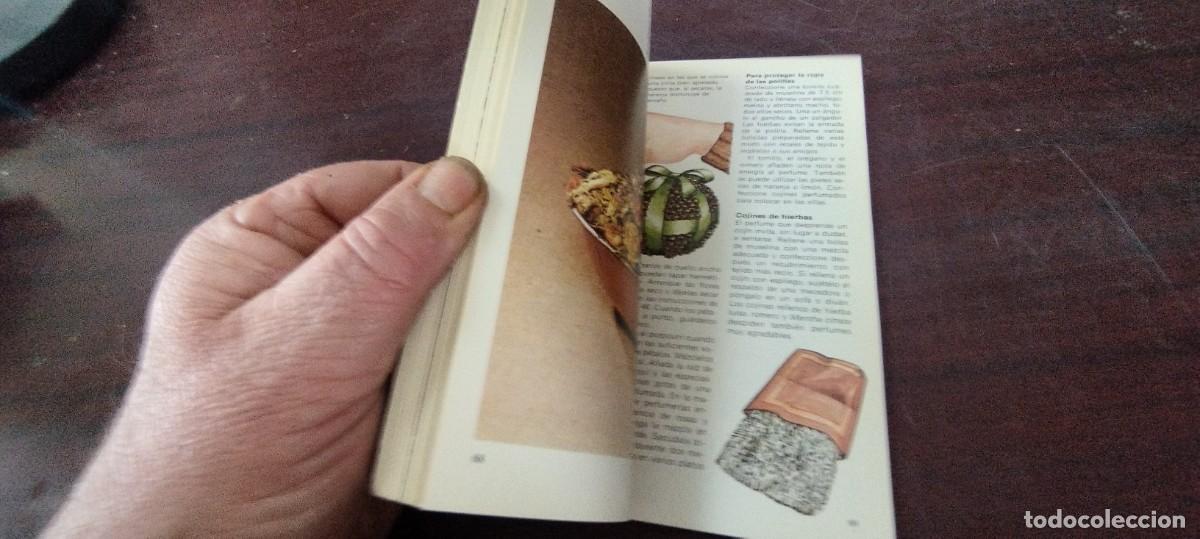 Libros de segunda mano: HIERBAS / ENCICLOPEDIA TEMAS BASICOS PARAMON / PU-NEVR-4 / - Foto 5