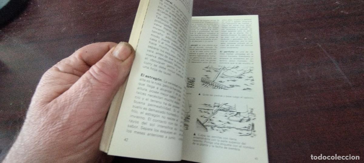 Libros de segunda mano: HIERBAS / ENCICLOPEDIA TEMAS BASICOS PARAMON / PU-NEVR-4 / - Foto 7