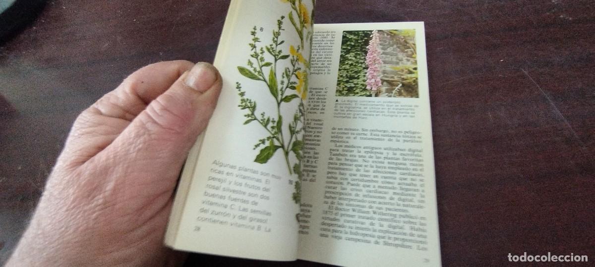 Libros de segunda mano: HIERBAS / ENCICLOPEDIA TEMAS BASICOS PARAMON / PU-NEVR-4 / - Foto 8