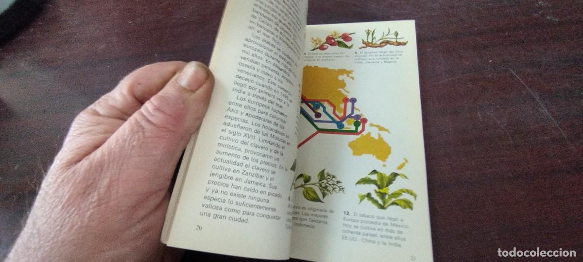 Libros de segunda mano: HIERBAS / ENCICLOPEDIA TEMAS BASICOS PARAMON / PU-NEVR-4 / - Foto 9