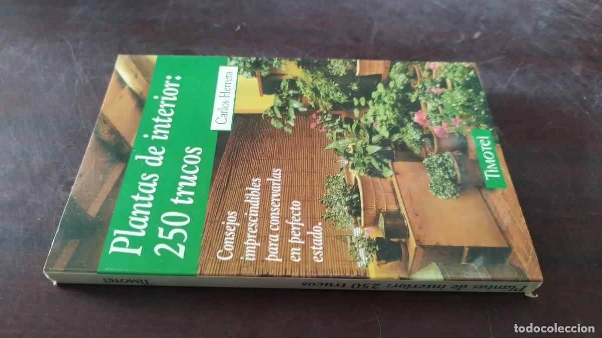 Libros de segunda mano: PLANTAS DE INTERIOR:250 TRUCOS / CARLOS HERRERA / PU-NVR-3 / TIMOTEI