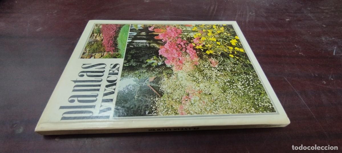 Libros de segunda mano: PLANTAS VIVACES / ROBERTO GUILLEN ANDREU / Z505