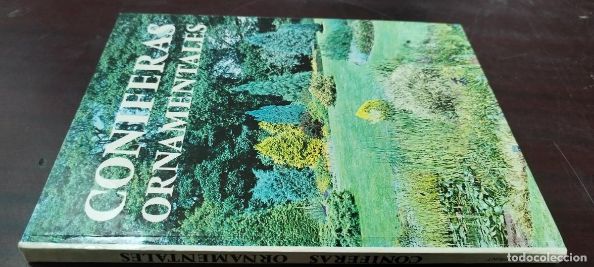 Libros de segunda mano: CONIFERAS ORNAMENTALES / ROBERTO GUILLEN ANDREU / Z505 / FLORAPRINT