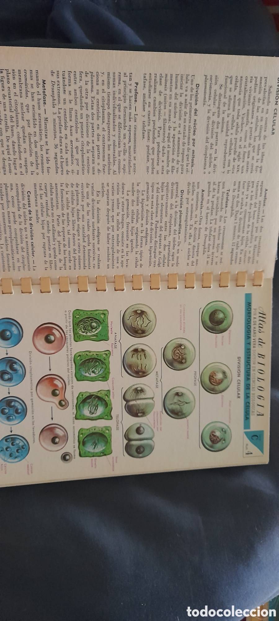 Libros de segunda mano: Atlas de ciencias...... - Foto 3