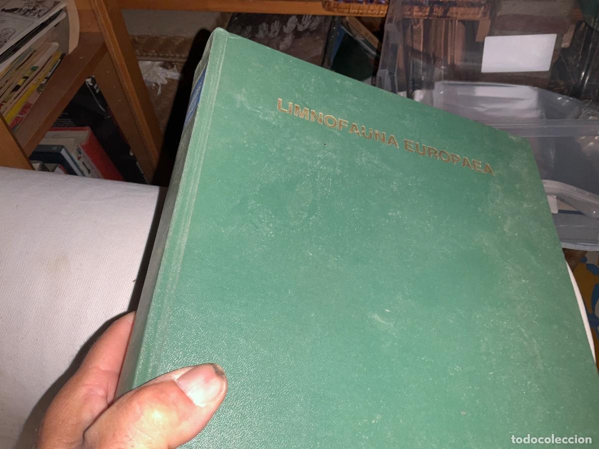 Libros de segunda mano: Limnofauna Europaea. Checklist joachim illies 1978 532 paginas