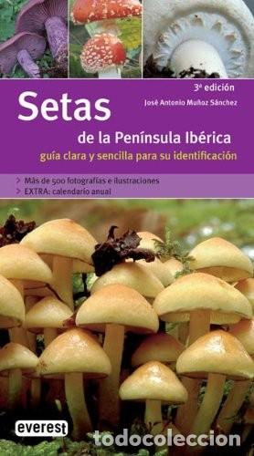 Libros de segunda mano: Setas de la Pen&iacute;nsula Ib&eacute;rica. Gu&iacute;a clara y sencilla para su identificaci&oacute;n. Jos&eacute; Antonio Mu&ntilde;oz S.
