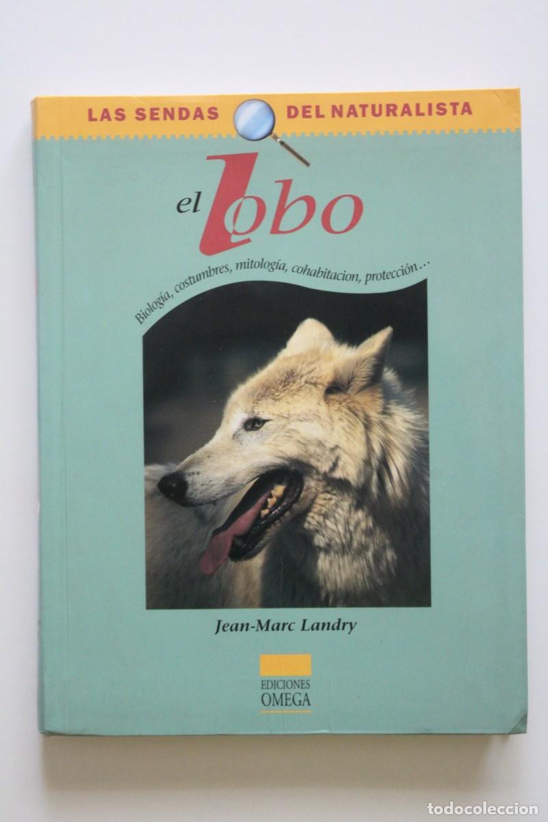 Libros de segunda mano: Jean-Marc Landry - El lobo. Biolog&iacute;a, costumbres, mitolog&iacute;a, cohabitaci&oacute;n, protecci&oacute;n... - Omega