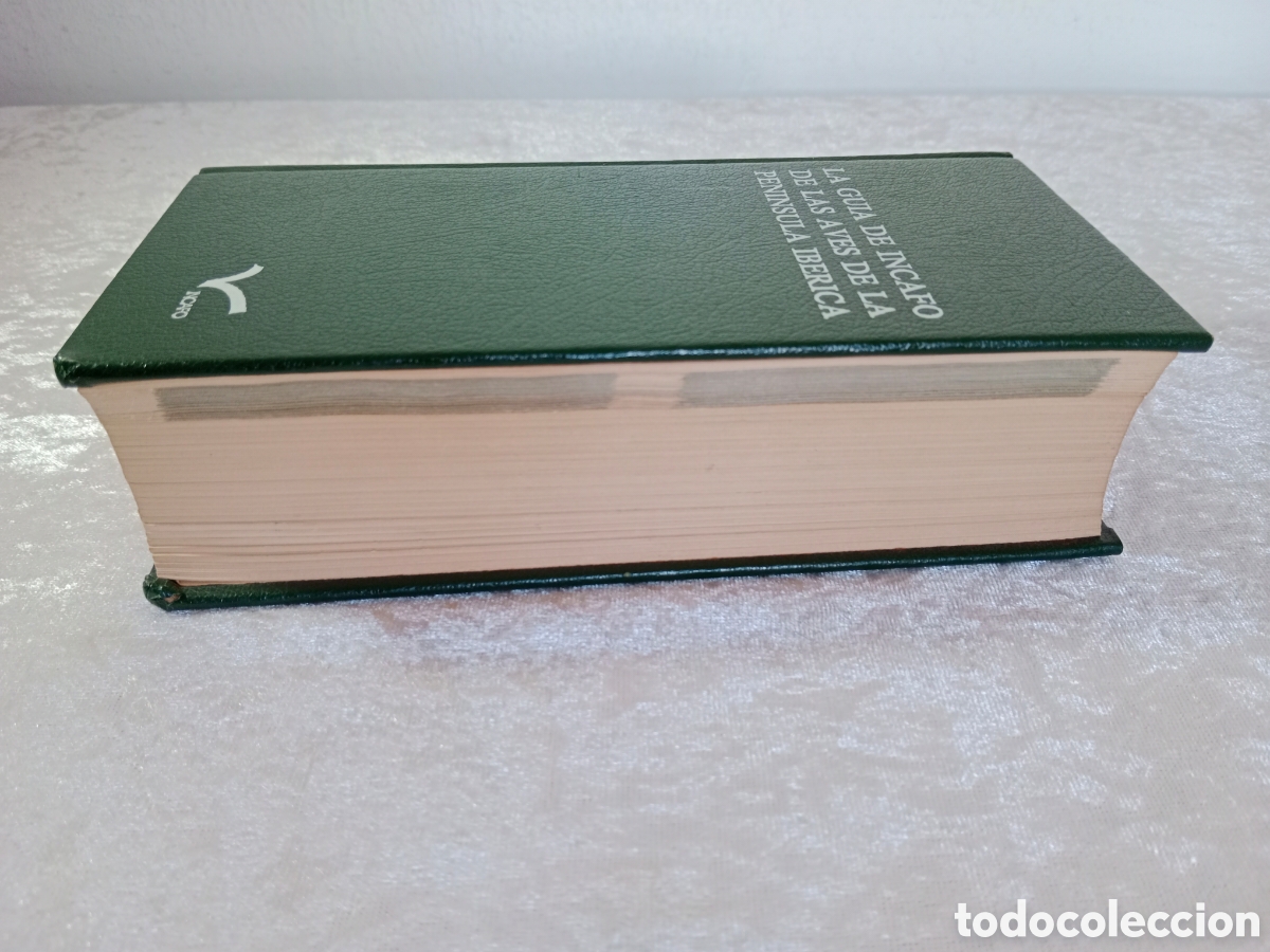 Libros de segunda mano: LA GU&Iacute;A DE INCAFO DE LAS AVES DE LA PEN&Iacute;NSULA IB&Eacute;RICA - Foto 3