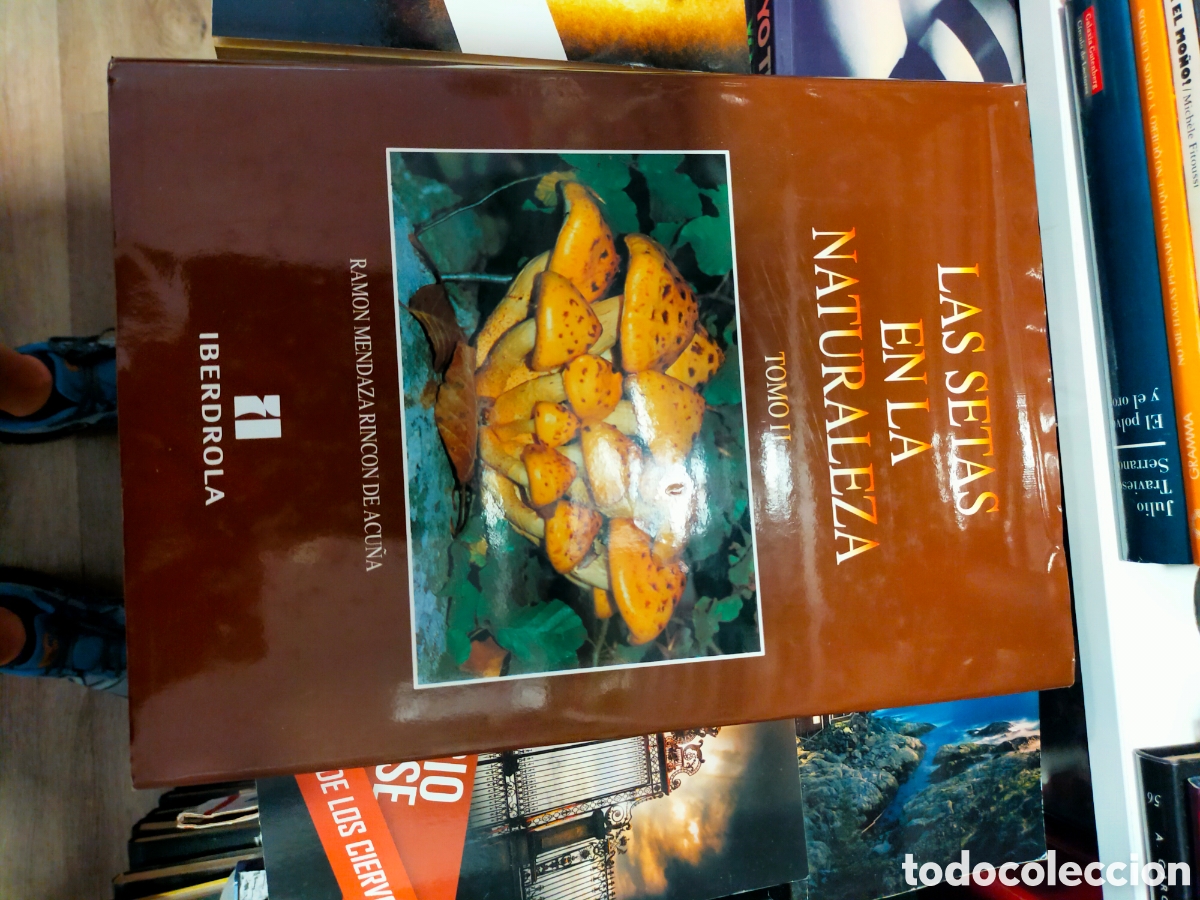 Libros de segunda mano: LAS SETAS EN LA NATURALEZA TOMO II IBERDROLA BUEN ESTADO