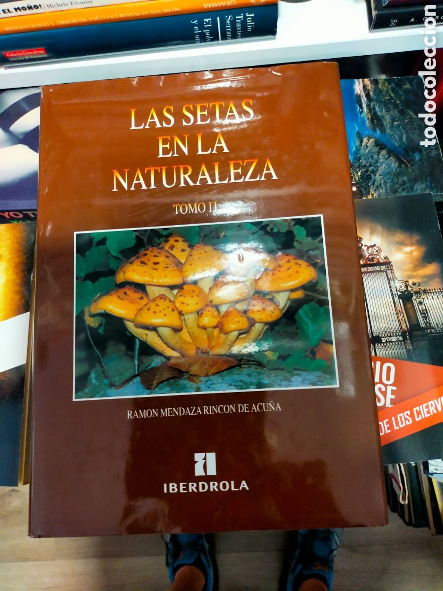 Second hand books: LAS SETAS EN LA NATURALEZA TOMO II IBERDROLA BUEN ESTADO