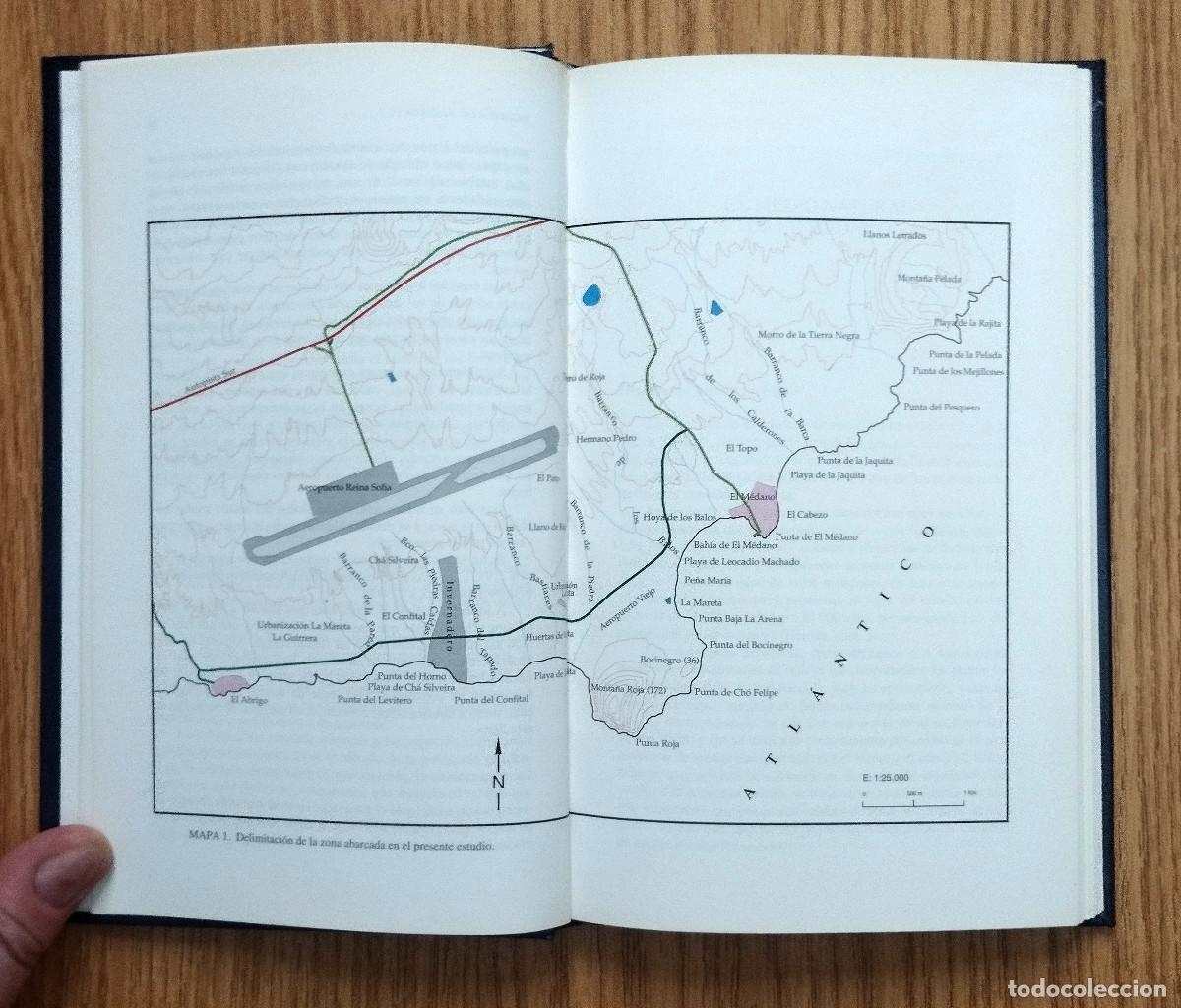 Libros de segunda mano: Libro LAS AVES DEL M&Eacute;DANO | Tenerife - Canarias - Foto 4
