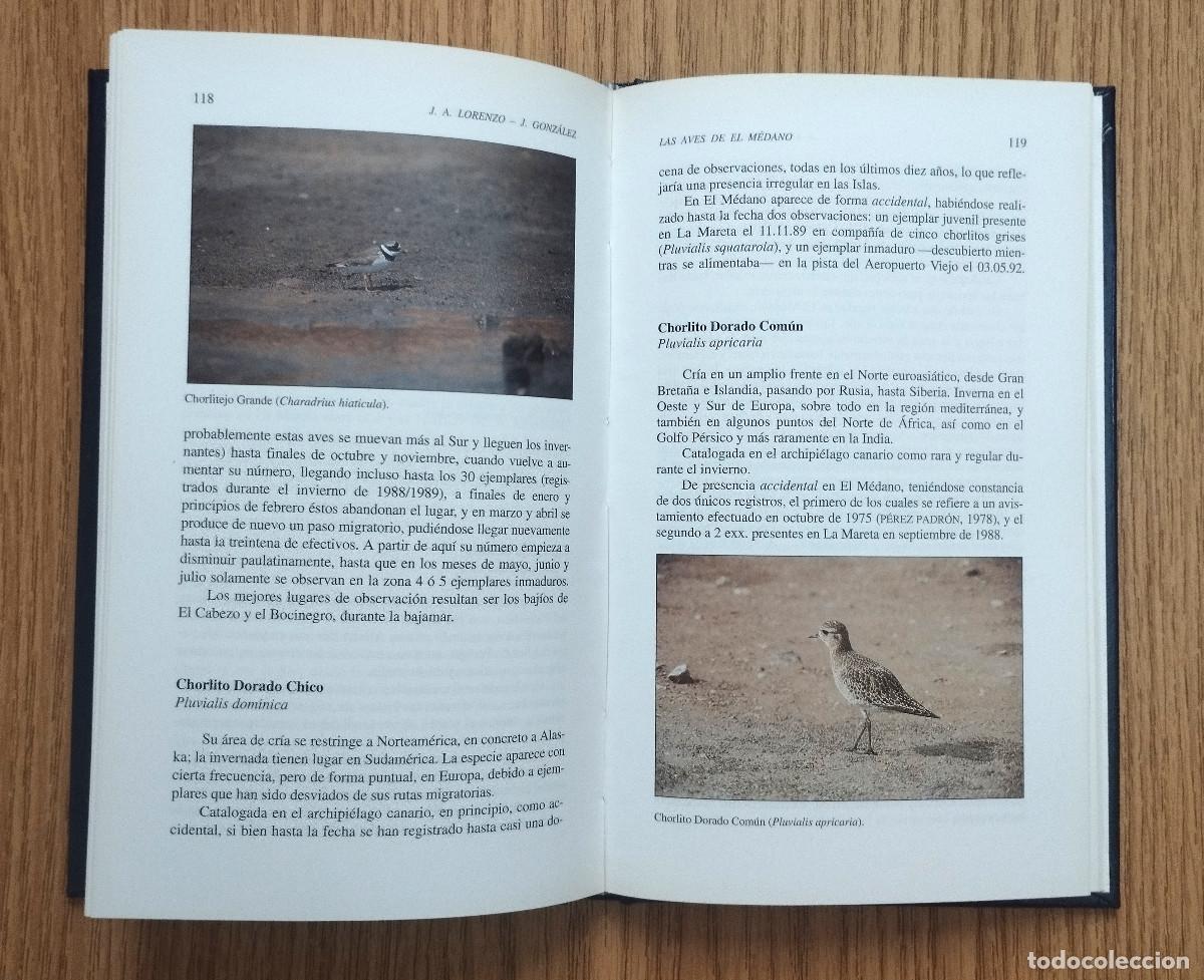 Libros de segunda mano: Libro LAS AVES DEL M&Eacute;DANO | Tenerife - Canarias - Foto 5