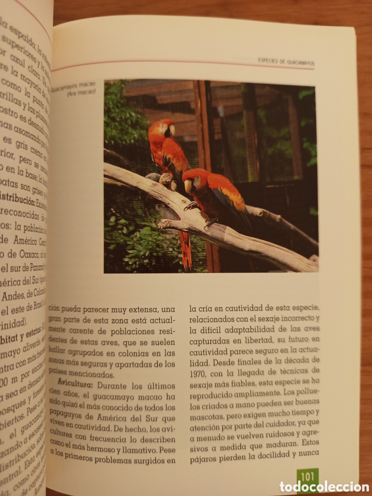 Libros de segunda mano: EL NUEVO LIBRO DE LOS GUACAMAYOS (ROGER G. SWEENEY) - Foto 6