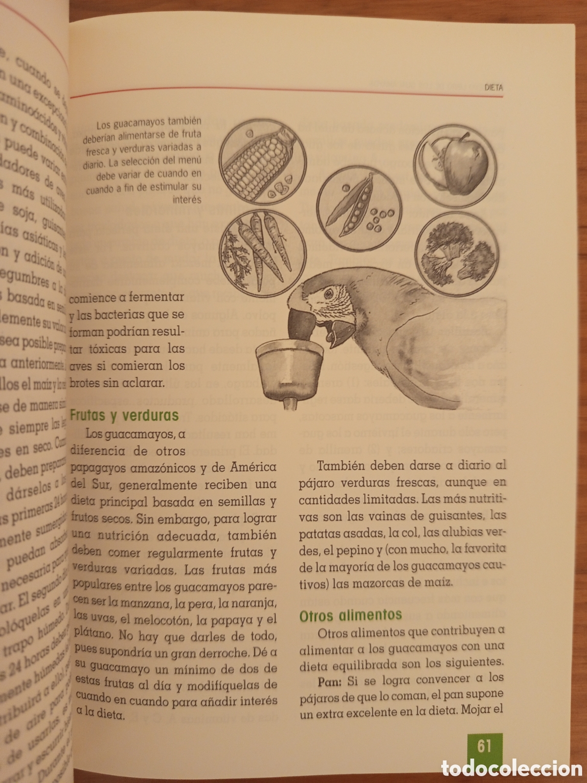 Libros de segunda mano: EL NUEVO LIBRO DE LOS GUACAMAYOS (ROGER G. SWEENEY) - Foto 8