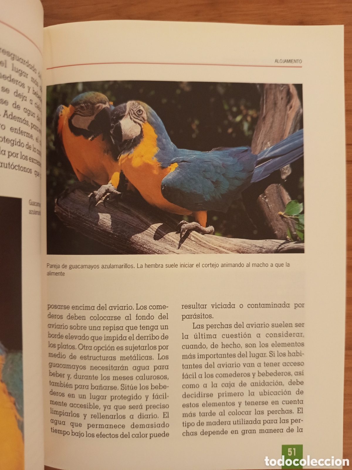 Libros de segunda mano: EL NUEVO LIBRO DE LOS GUACAMAYOS (ROGER G. SWEENEY) - Foto 9