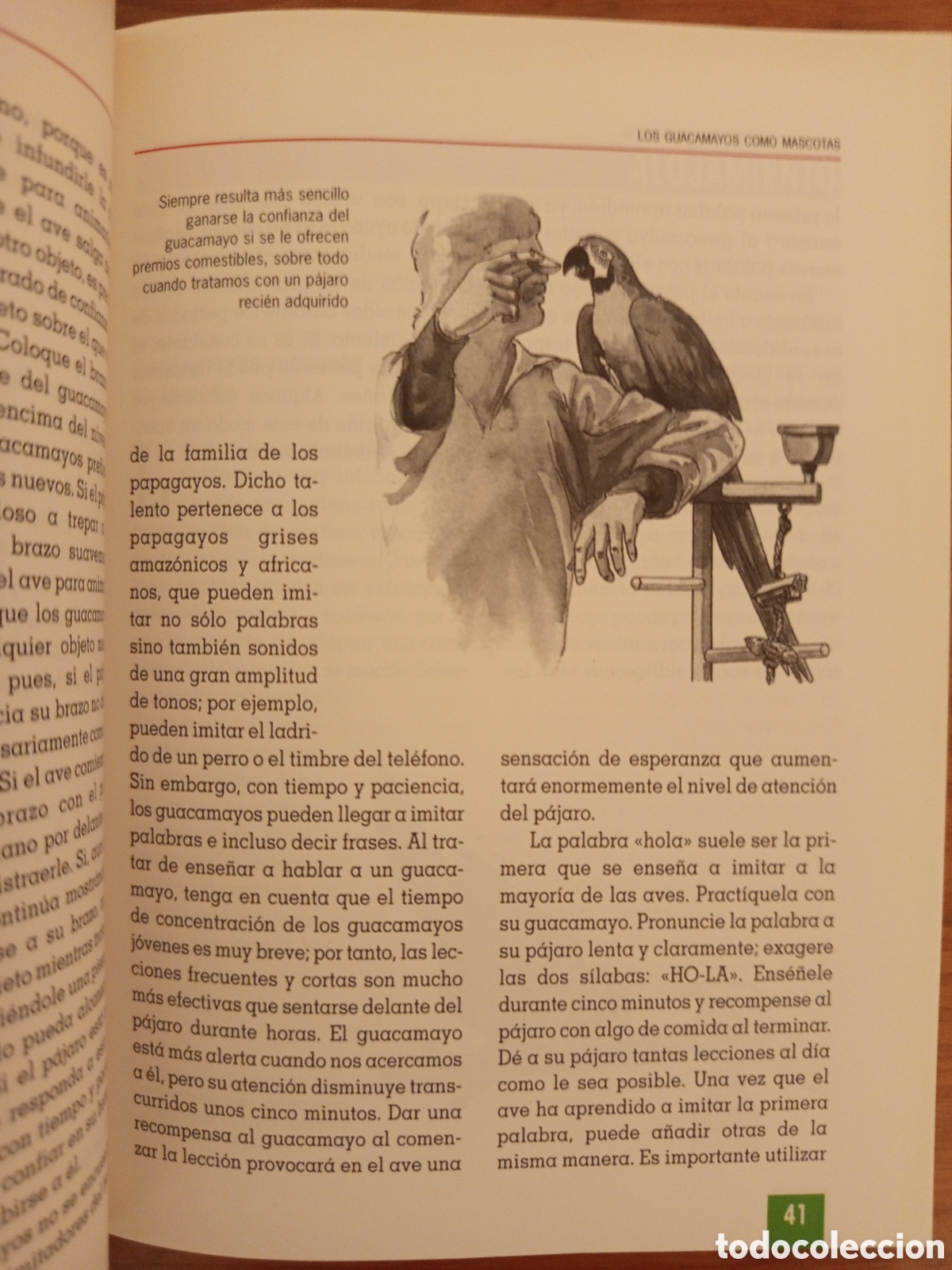 Libros de segunda mano: EL NUEVO LIBRO DE LOS GUACAMAYOS (ROGER G. SWEENEY) - Foto 10