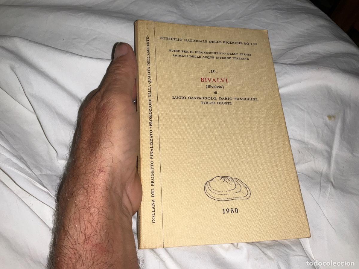 Libros de segunda mano: Bivalvi - Castagnolo Lucio, Franchini Dario, Giusti Folco 1980