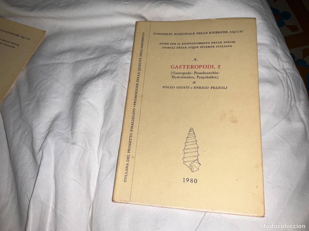 Libros de segunda mano: Gasteropodi 2 folco giusti, Giusti Folco 1980