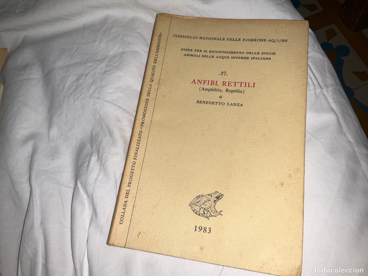 Libros de segunda mano: Anfibi rettili benedetto lanza amphibia reptilia 1983