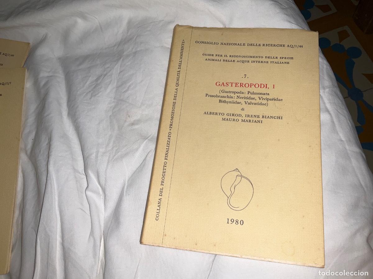 Libros de segunda mano: Gasteropodi I Alberto Gir&oacute;n gastropoda 1980