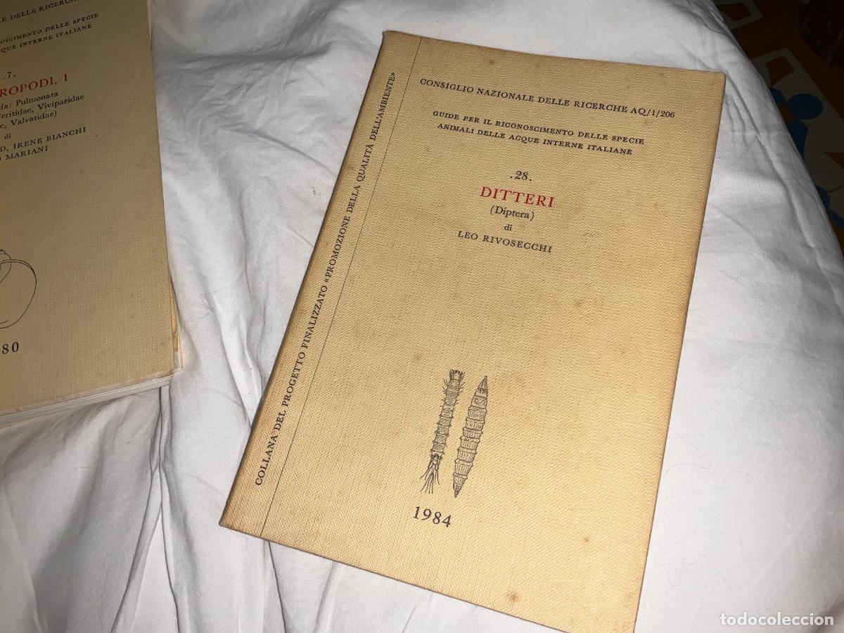 Libros de segunda mano: Ditteri Diptera Leo Rivosecchi 1984