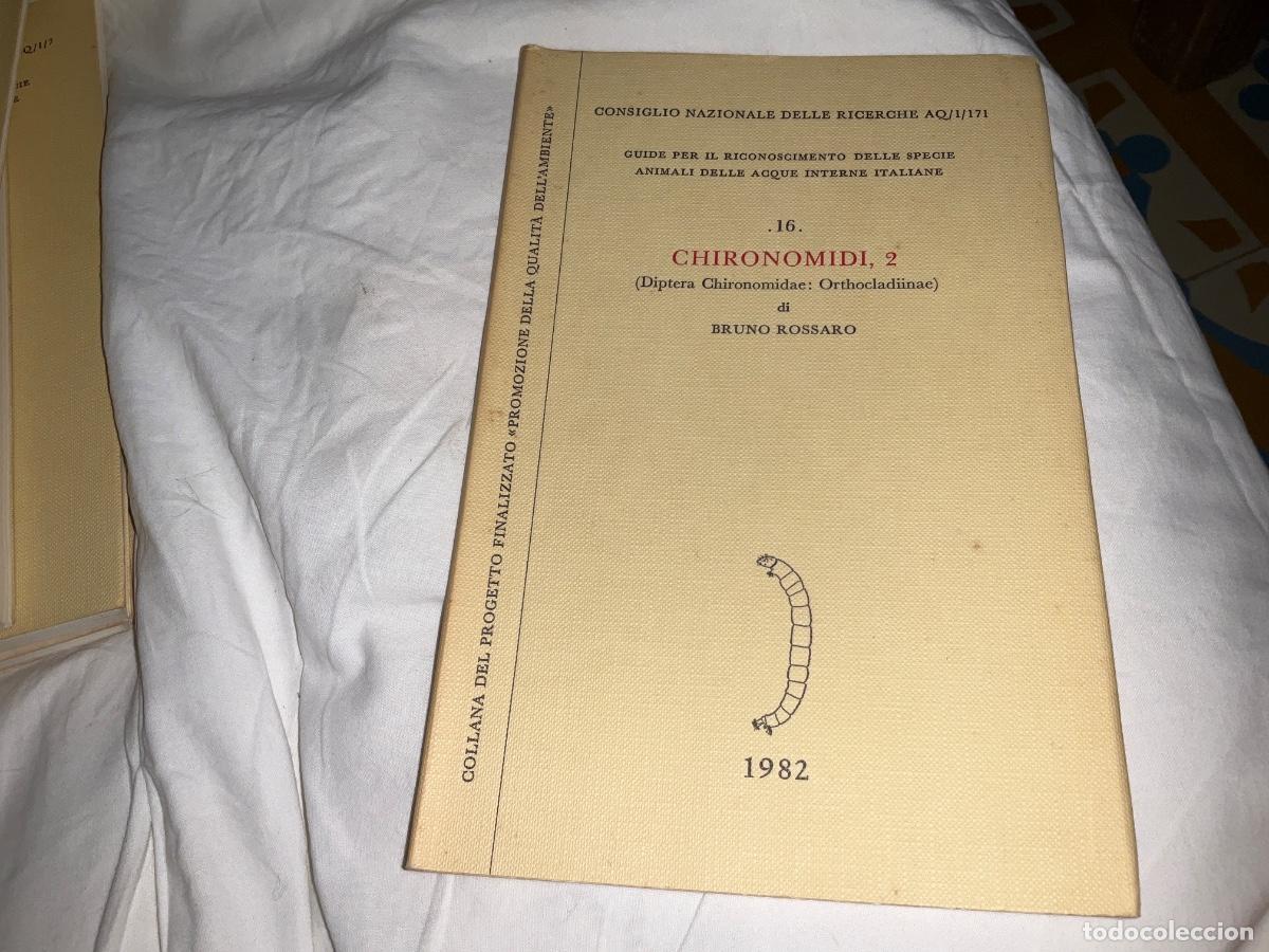 Libros de segunda mano: Chironomidi 2 diptera Bruno Rossaro