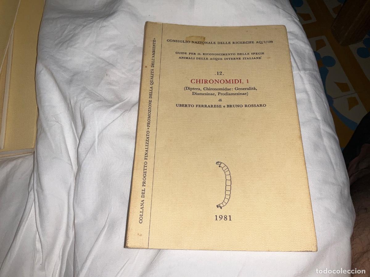 Libros de segunda mano: Chironomidi 1 diptera Bruno Rossaro