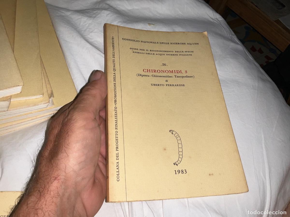 Libros de segunda mano: Chironomidi 3 diptera Umberto Ferrarese