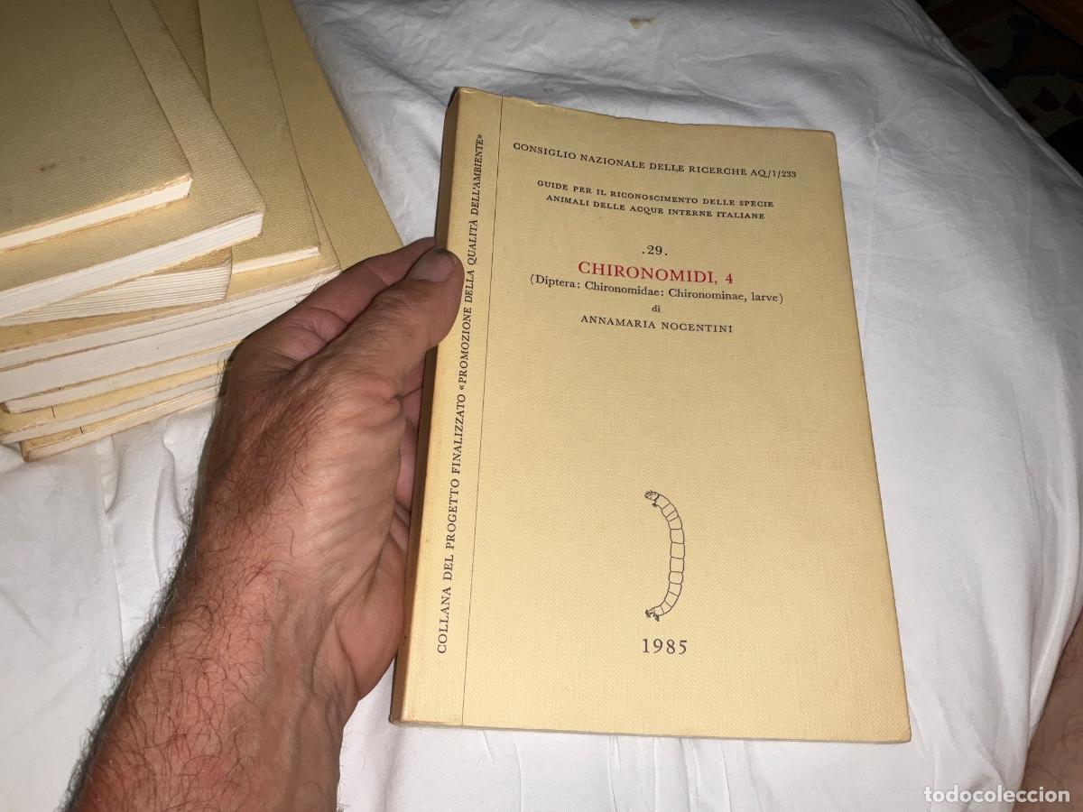 Libros de segunda mano: Chironomidi 4 diptera Anna Mar&iacute;a nocentini