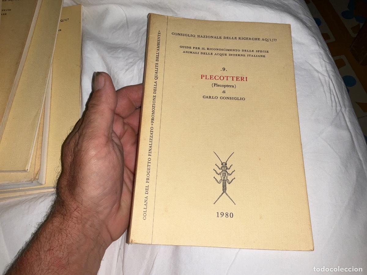 Libros de segunda mano: Plecotteri carlo consiglio plecoptera