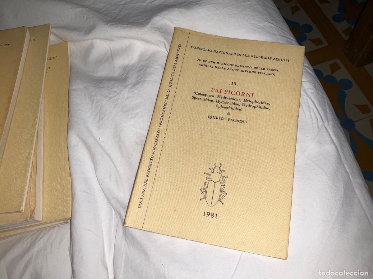 Libros de segunda mano: Palpicorni cole&oacute;ptera Quirico Pirisinu