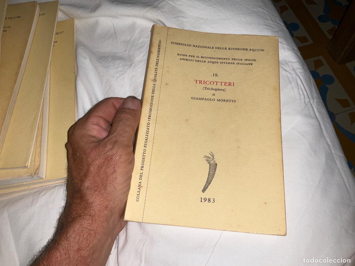 Libros de segunda mano: Tricotteri giampaolo moretti Trichoptera