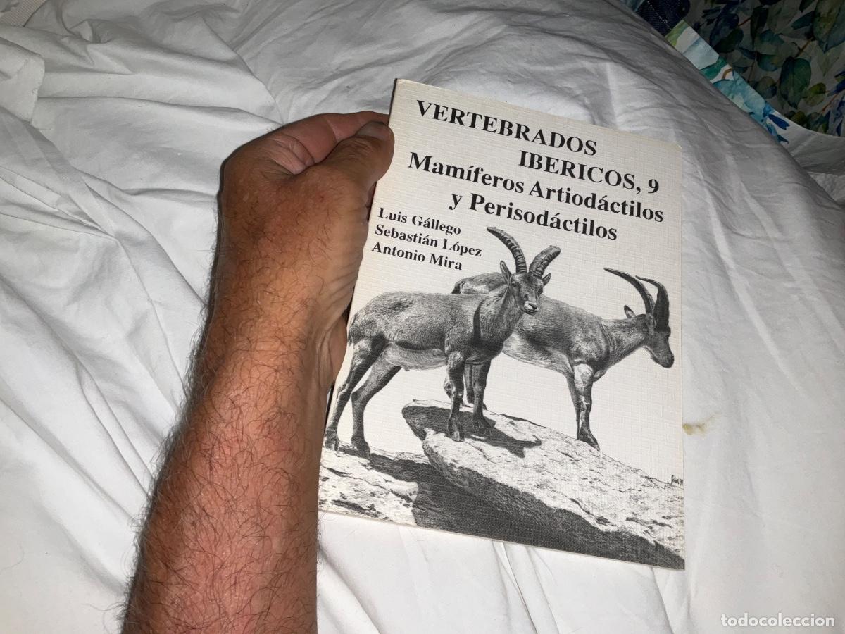 Libros de segunda mano: VERTEBRADOS IBERICOS, 9. MAMIFEROS ARTIODACTILOS Y GALLEGO, LUIS, SEBASTIAN LOPEZ Y A