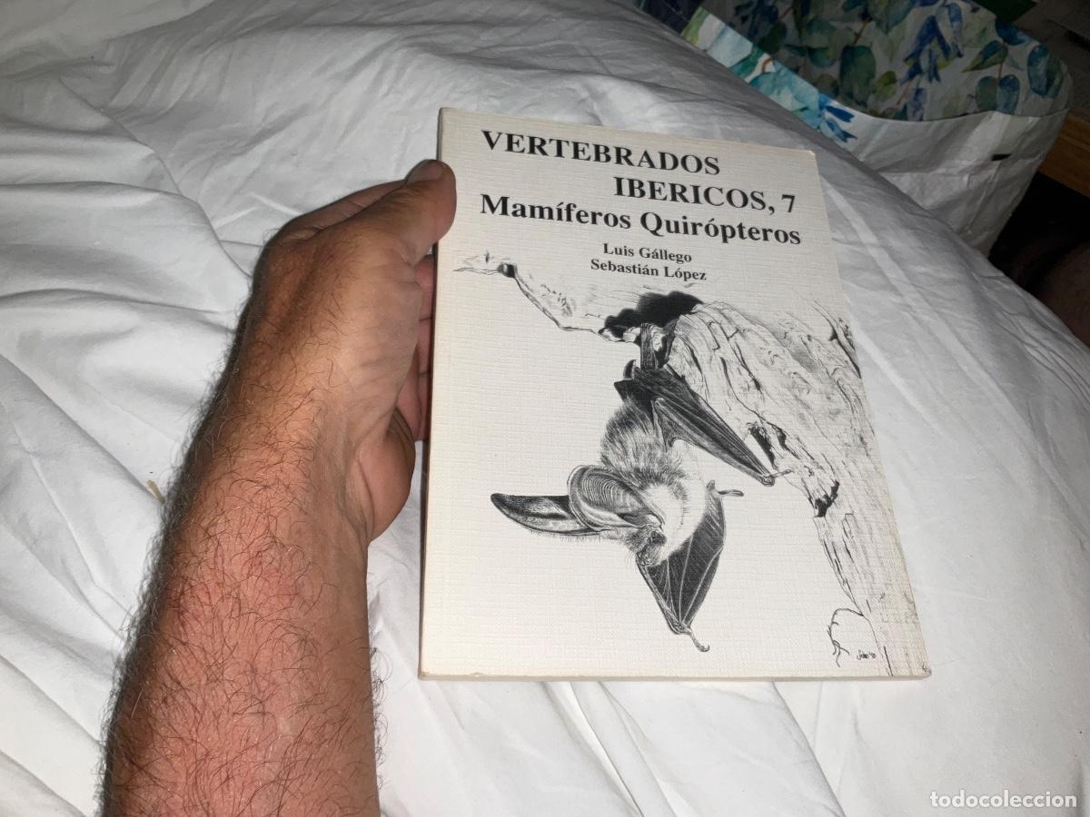 Libros de segunda mano: VERTEBRADOS IBERICOS, 7 MAMIFEROS quiropterosY GALLEGO, LUIS, SEBASTIAN LOPEZ Y A