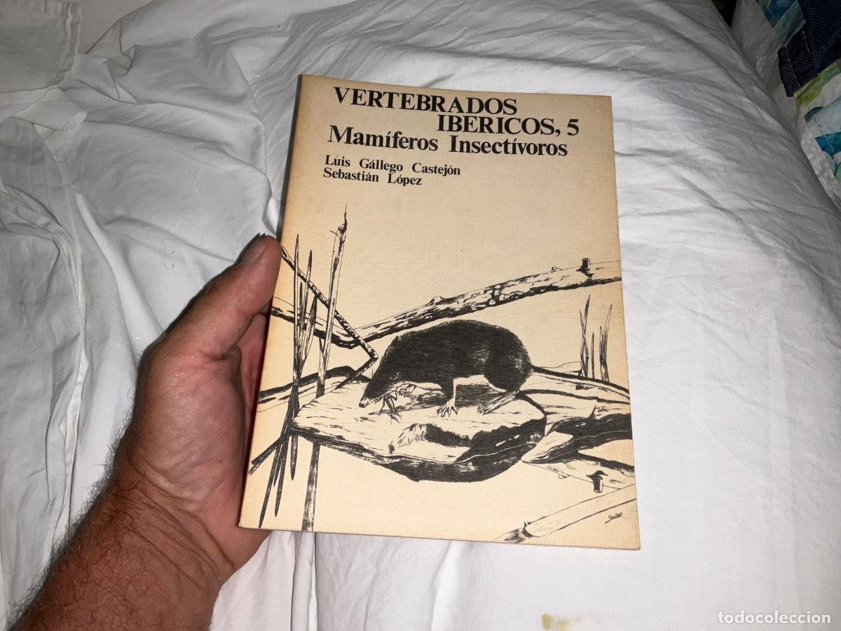 Libros de segunda mano: VERTEBRADOS IBERICOS, 5 MAMIFEROS insectivoros GALLEGO, LUIS, SEBASTIAN LOPEZ Y A