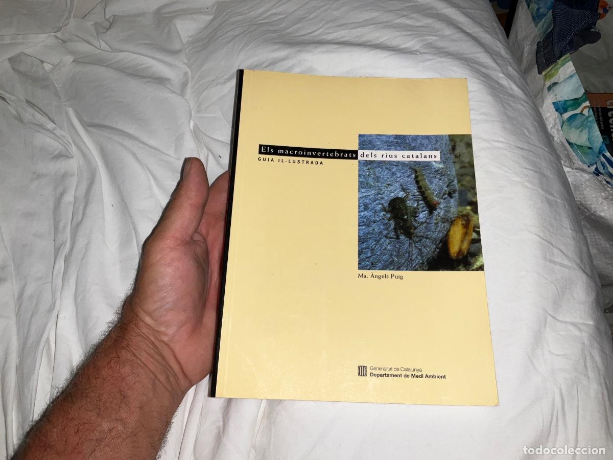 Libros de segunda mano: Els macroinvertebrats deles rius catalans Ma Angels Puig