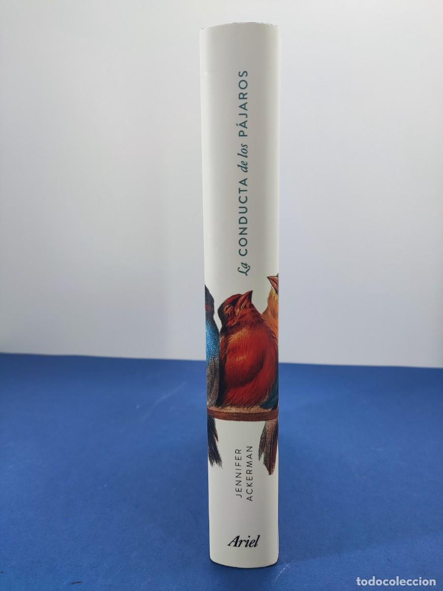 Libros de segunda mano: LA CONDUCTA DE LOS P&Aacute;JAROS / JENNIFER ACKERMAN / 1&ordf;ed. 2021. ARIEL - Foto 7