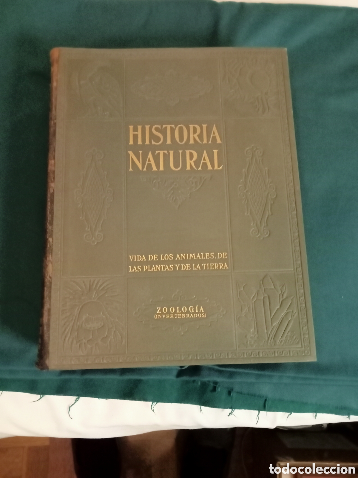 Libros de segunda mano: Instituto Gallach historia natural 1953 Bot&aacute;nica