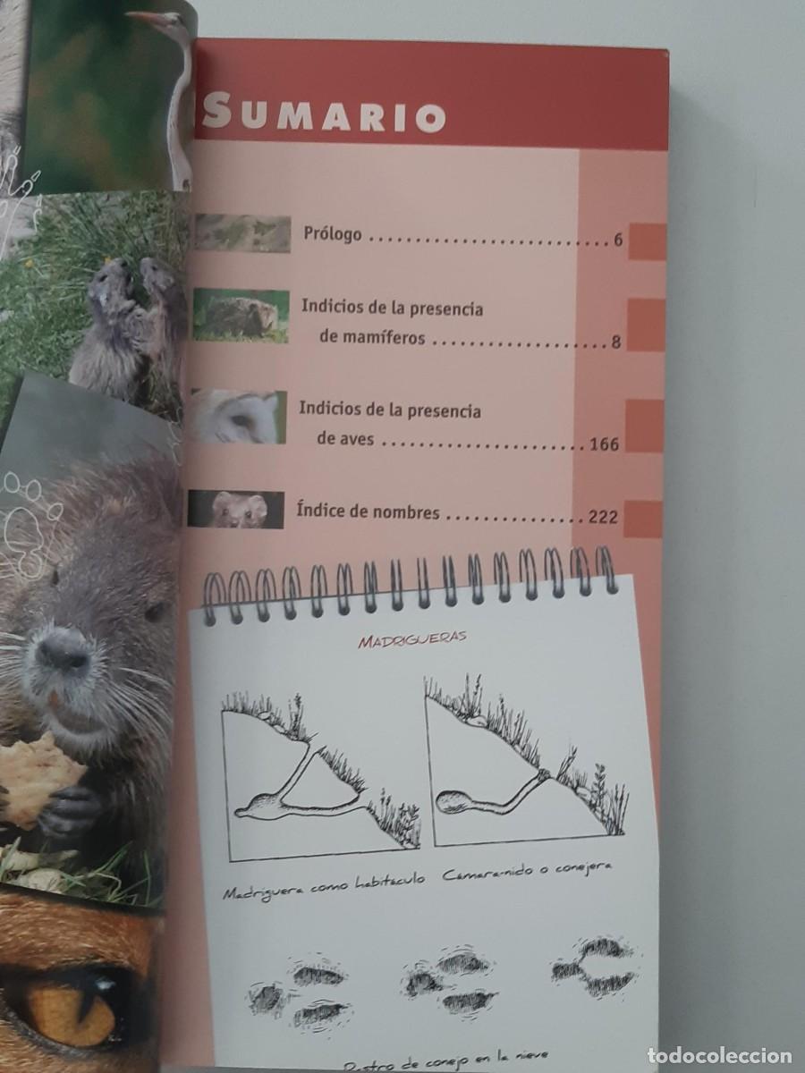 Libros de segunda mano: Huellas y rastros - Durantel, Pascal MAMIFEROS AVES - Foto 4