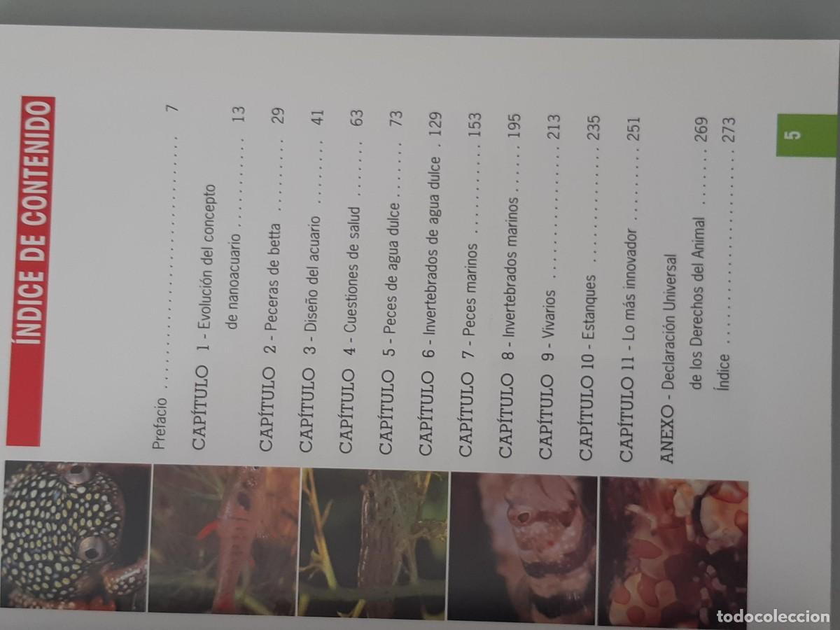 Libros de segunda mano: NANOACUARIOS DAVID E. BORUCHOWITZ ACUARIOS ACUARIOFILIA - Foto 4