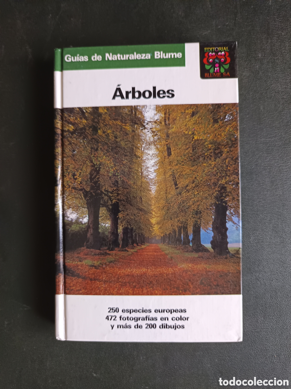 Libros de segunda mano: &Aacute;rboles. Gu&iacute;as de Naturaleza Blume. - Bruno Kremer.