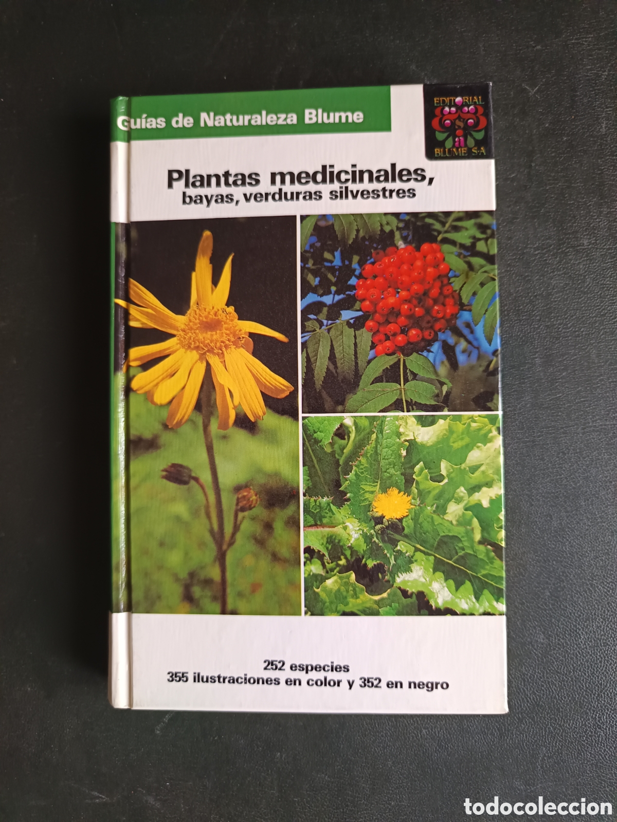 Libros de segunda mano: PLANTAS MEDICINALES: BAYAS, VERDURAS SILVESTRES - GRAU/JUNG/MUNKER - GUIAS DE NATURALEZA