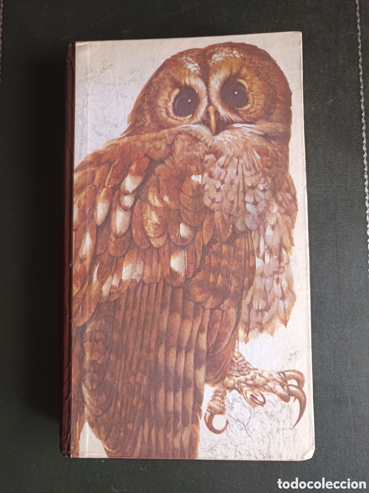 Libros de segunda mano: EL LIBRO DE LAS AVES DE ESPA&Ntilde;A, CON TRES LAMINAS DE RAYMOND CHING
