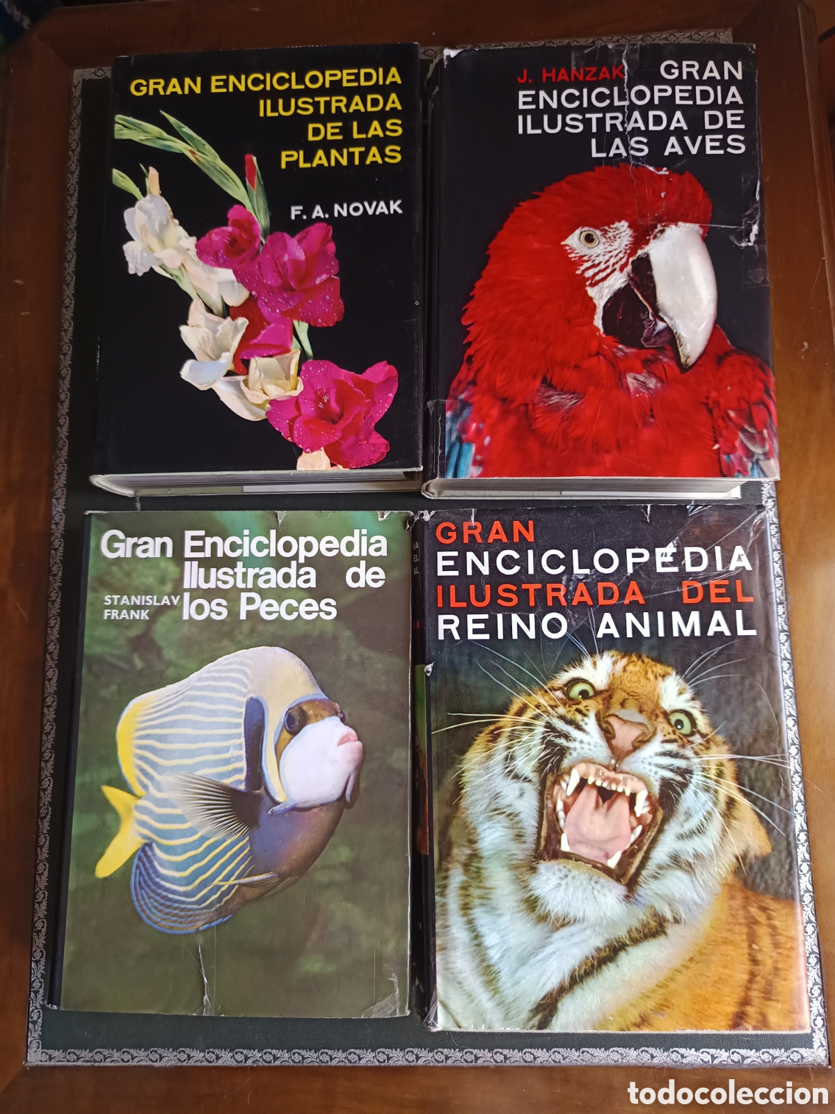 Libros de segunda mano: LOTE ENCICLPEDIA REINO ANIMAL: PLANTAS, INSECTOS Y AVES. CIRCULO DE LECTORES.